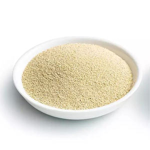 Poudre D'extrait De levure Pour Aromatiser - Product Image 3