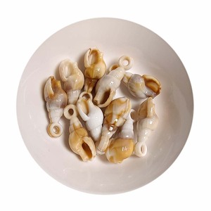 Conchas Espiraladas de Concha Marina al por Mayor, Cuentas y Dijes con Orificios, Material Acrílico - Product Image 6