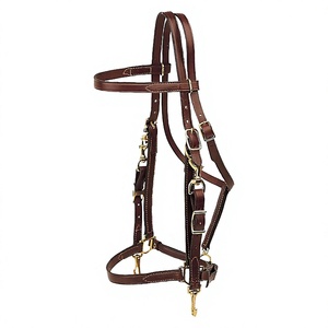 Factory Made Premium Handmade Leather Horse Browband Padded English Bridle Durable <b>Equestrian</b> Accessory - Product Image 1