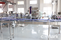 Ligne de production de bouteilles d'eau entièrement automatisée, système d'emballage soufflage-remplissage-scellage, projet d'usine d'eau minérale