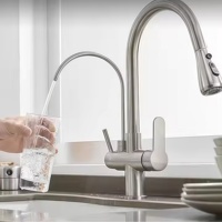 Robinet pulvérisateur moderne à double poignée en laiton poli Meybert, avec cartouche céramique, monotrou, à poser sur le plan, pour salle de bain d'hôtel