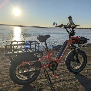 Vélo Cargo Familial à Pneus Larges 20*3.0, Batterie Li-ion 48V 15Ah, Livraison en 3-7 Jours, <span class=keywords><strong>Prix</strong></span> Usine, Vélo Électrique à Longue Portée - Product Image 1
