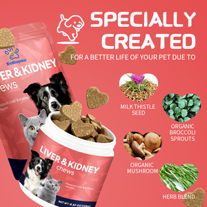 Supplément de rein de foie canin d'approvisionnement d'usine Rehmannia + Chardon-Marie à mâcher, soutien de la santé du foie et des reins, en vrac et de marque privée - Product Image 2