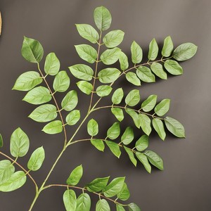 Hojas Artificiales de Lagerstroemia de Tacto Real, Ramas de Olmo Verde Natural Artificial, Follaje Falso para Decoración Minimalista del Hogar - Product Image 2
