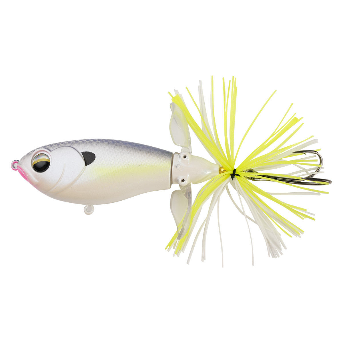 C gris net dos poudre bouche