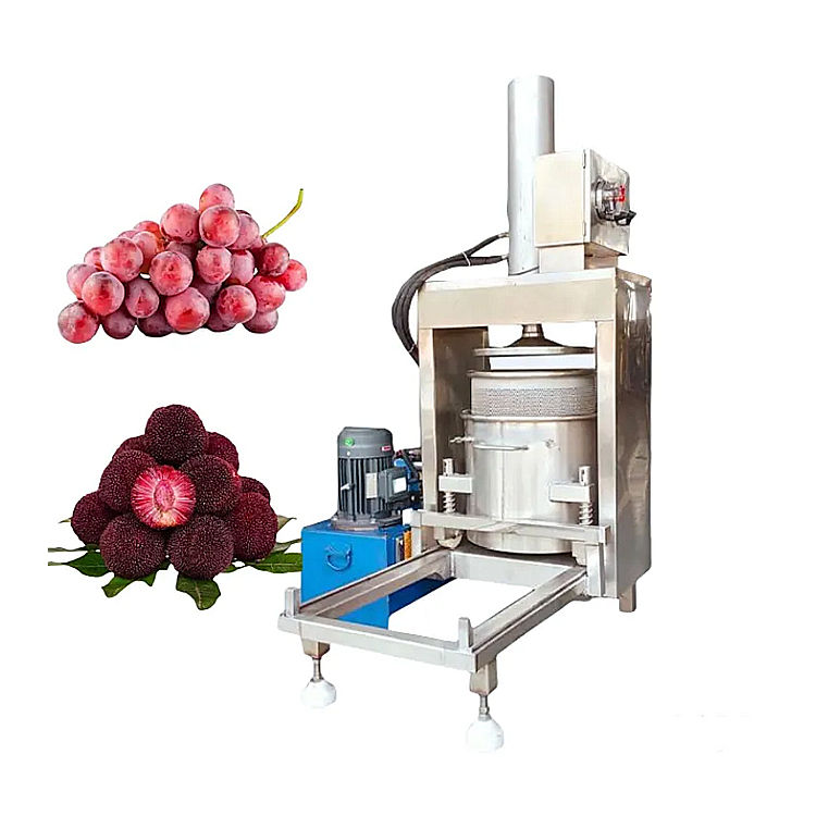 Commercial Cold Press Juicer for Sale Efficient Durable