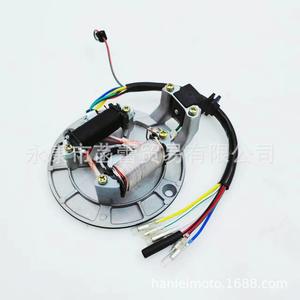 Bobine de démarrage 110 avec châssis, nouvelle bobine d'allumage pour machine horizontale à démarrage au pied, stator, batterie en boîte - Product Image 5