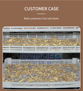Machine de séchage automatique directe usine pour légumes, équipement de séchage de piments, d'oignons, d'ail et de carottes - Product Image 6
