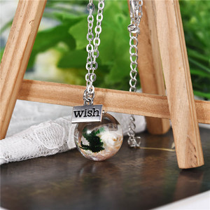 Collar de resina transparente de joyería de diseño único de moda con plantas acuáticas reales y conchas en el interior - Product Image 6