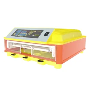 HHD R46 eggs incubator with transparent cover in blue