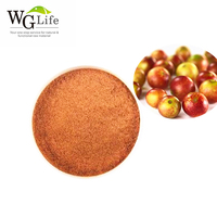 Prix d'usine Extrait de fruit de Camu Camu en poudre 10%-25% Extrait par solvant Qualité alimentaire Vitamine C en emballage en fût