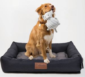 Hersteller Großhandel blau grau Sofa kissen Memory Foam Kühlung Hunde bett ortho pä dische Serie - Product Image 1