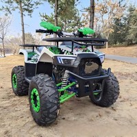 Kart Eléctrico de 3000W para Adultos, Karting Todoterreno para la Playa, Vehículo de Aventura, Accesorios para Go Karts, Carga Máxima de 200 kg