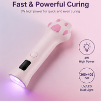 Lampe UV LED rechargeable 3W pour séchage de gel à ongles, motif patte de chat mignonne, lumière rouge, en plastique, pour usage domestique