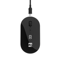 Grosir Mouse komputer portabel 2.4G & BT nirkabel untuk Laptop dengan tingkat baterai terlihat