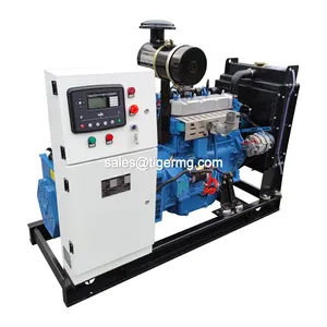 China best quality 30kw 40KW 50kw 80kw 100kw 120KW 160kw lpg gas generator