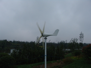 Venta Especial del Fabricante: Aerogenerador Pequeño de 400W para Uso Doméstico - Product Image 5