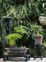 Pot Bunga Resin Desain Minimalis Rustic Sederhana Bentuk Teratai Tiga Kaki Wadah Dangkal Pengontrol Akar Pot Meja Besar