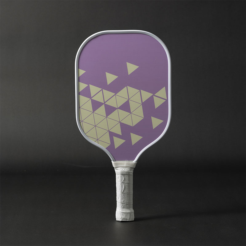 High Quality Customizable Color Logo 10mm Thick Fiberglass Edgeless USAPA Approved Portable Pickleball Equipment Now Available