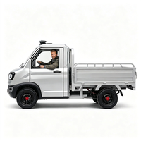 Mini camionnette électrique 4x2 avec benne hydraulique et caméra arrière pour transport tout-terrain