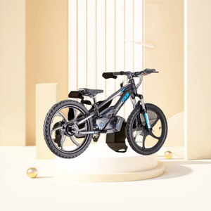 มอเตอร์บาลานซ์ขนาด20นิ้วสำหรับเด็กมอเตอร์600วัตต์แข็งแรงมากขึ้นสไตล์ fxb - Product Image 3