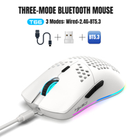 HXSJ T66 blanc 3 modes 650mAh rechargeable 6 boutons programmable souris de jeu lumineuse RVB sans fil en nid d'abeille pour ordinateur portable