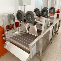 Tekfood Fabriek Fruit Groente Luchtdroger Machine Hoge Efficiënte Lucht Blazen Apparatuur Groente Lucht Föhn