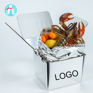 Packaging Box Cold Shipping Packaging Box Cold Insulated Packaging Box Insulated Shipping Carton