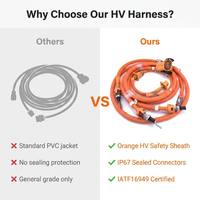Harnais de câblage automobile personnalisé en cuivre nu 18 AWG, isolation PVC/caoutchouc/PTFE/PBT, indice de protection IP68, certifié CE pour connecteur adaptateur