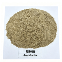 Culture de démarrage de bactéries acétiques sèches Acetobacter 10 milliards UFC/g pour la fabrication de vinaigre industriel et le processus d'oxydation alcoolique