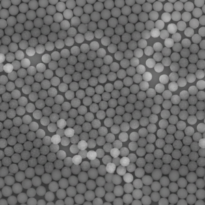 Microsphères fluorescentes TRF monodispersées en terres rares (Eu, PS) pour la conjugation d'anticorps dans les kits IVD - Product Image 1