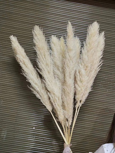 Roseaux artificiels des marais séchés, 60/80cm de longueur, herbe décorative, pour mariage - Product Image 5