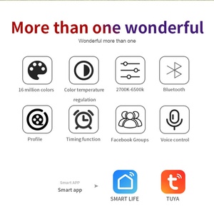 Proyector LED RGB Inteligente IP65 WiFi, Multicolor, Control por Aplicación, Aluminio, Ángulo de Haz de 120°, 12V/24V, Iluminación Exterior para Jardín - Product Image 6