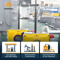 Detector de Gas Sulfuro de Hidrógeno Inalámbrico de Alta Calidad ENSENMAX, Alarma Sonora y Luminosa, Alta Precisión, Alimentación de 24V, Construcción Metálica