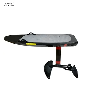 New Style Top Quality Fast Delivery Motorized Carbon Fiber Efoil Powered Board Electric Surfboard Hydrofoil