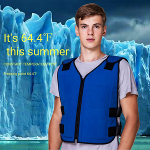 ग्रीष्मकालीन आउटडोर श्रमिकों के सुरक्षा कपड़ों के लिए 2025 ब्रांड नई अच्छी गुणवत्ता वाली कूलिंग वेस्ट - Product Image 2