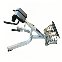 Chaise romaine commerciale en métal, station d'hyperextension, banc de sécurité robuste, appareil de musculation pour le bas du dos, les fessiers et les ischio-jambiers