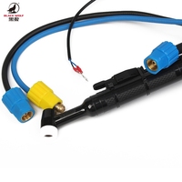 BLACKWOLF Torche de soudage TIG à l'argon 300Amp personnalisée Torche refroidie à l'eau 4M 8M