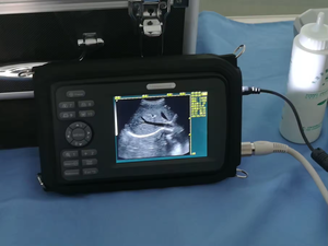 Draagbare Veterinaire Djy20a Handheld Draadloze B/W Ultrasone Scanner <span class=keywords><strong>Palmtop</strong></span> Echografie Scanner Voor Varkens Paardenkoe Zwangerschapstest - Product Image 4