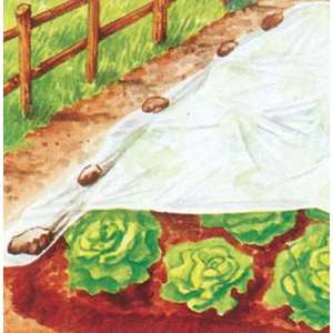 ANTIGEL TNT Étoiles Blanc Jardin Fournitures 17 Gr/m2 250 400 PROTECTION DES PLANTES - Product Image 1