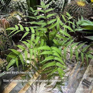 Fougère artificielle, grand bouquet <span class=keywords><strong>de</strong></span> feuilles persanes, <span class=keywords><strong>palmier</strong></span> Areca, fougère nid d'oiseau, Nephrolepis, herbe <span class=keywords><strong>de</strong></span> colline, plantes décoratives pour aménagement paysager - Product Image 2