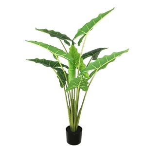 <span class=keywords><strong>Planta</strong></span> Artificial <span class=keywords><strong>de</strong></span> Taro <span class=keywords><strong>de</strong></span> 160 cm <span class=keywords><strong>de</strong></span> Altura, <span class=keywords><strong>Planta</strong></span> Tropical <span class=keywords><strong>de</strong></span> Simulación Grande para Decoración del Hogar y Hoteles - Product Image 6