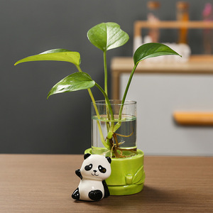 Maceta hidropónica de cerámica Ruijie Panda para plantas verdes como Pothos, decoración de escritorio de oficina. - Product Image 4