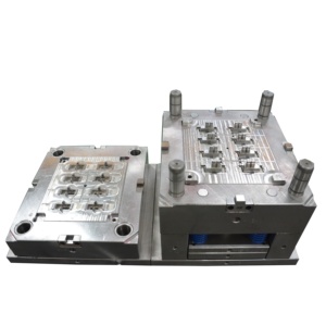 Custom plastic injection mould and molding for button switch