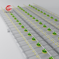 Cages à poulets automatiques à plancher grillagé en plastique PP blanc, durables, de qualité supérieure, grande capacité, économiques et neuves