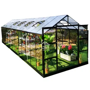 Agricultural/Commercial/Farm/Garden Greenhouses Multi-Span/Plastic Film Covered Greenhouse for Planting Vegetable/Tomatoes