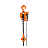 Palans à chaîne manuels VT de haute qualité 1-3T, outil de levage, chaîne de 3m en acier allié, protection IP55, garantie 1 an, double rail de guidage