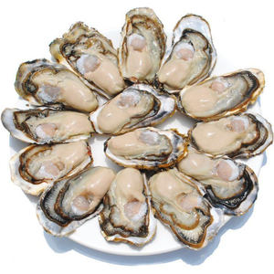 โรงงานอุปทานที่มีคุณภาพสูงป่าหอยนางรมสารสกัดจากผง - Product Image 2