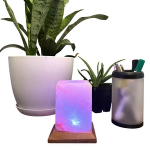 Hot Sale Himalayan Pink <b>Mini</b> USB Lamp Natural Salt Lamps Carved Technique High Quality Eco-Friendly Wooden Tree Shape Feng Shui - Product Image 1