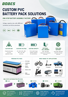 Batterie au lithium LiFePO4 haute performance 12V 24V, alternative au plomb-acide pour chariots de golf/UPS/utilisation marine